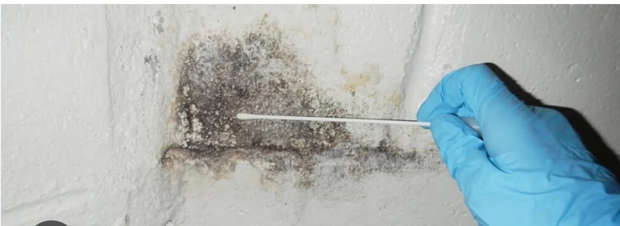MRS technician swab-testing mold growth on wall