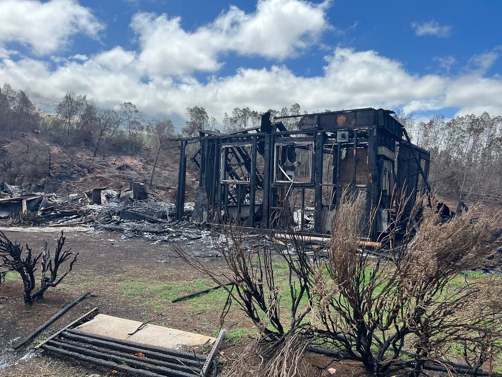 Completely charred house structure after fire