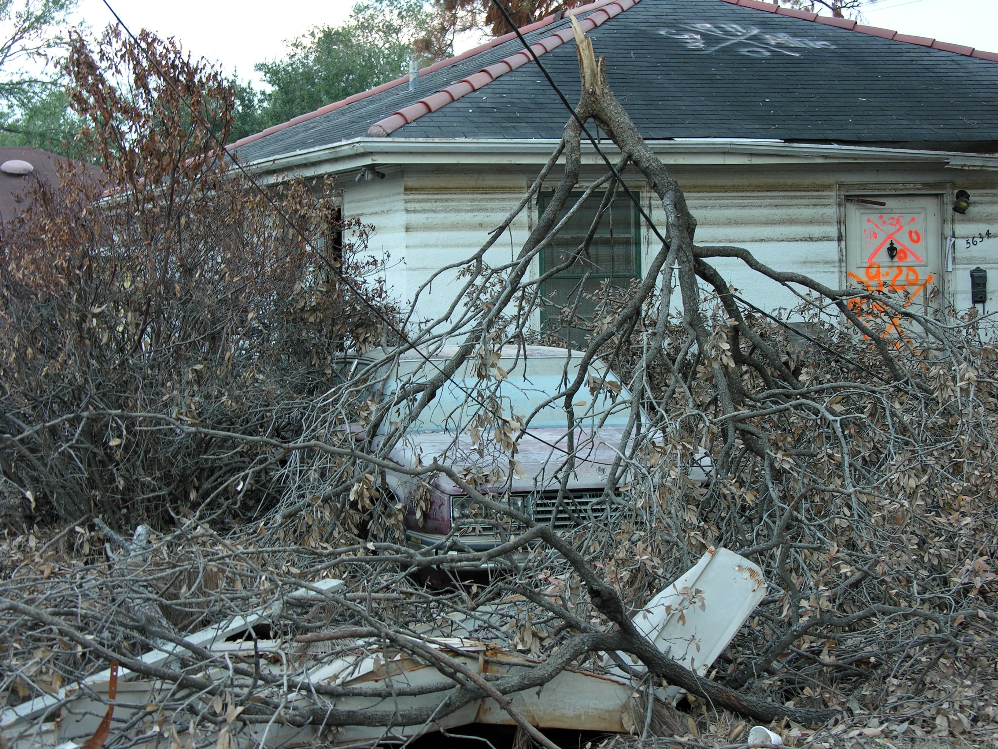 Hurricane-downed trees blocking house entrance